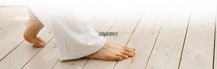 36020181201180258484