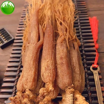 Original red ginseng roots whole root pieces - red panax ginseng roots ginseng powder