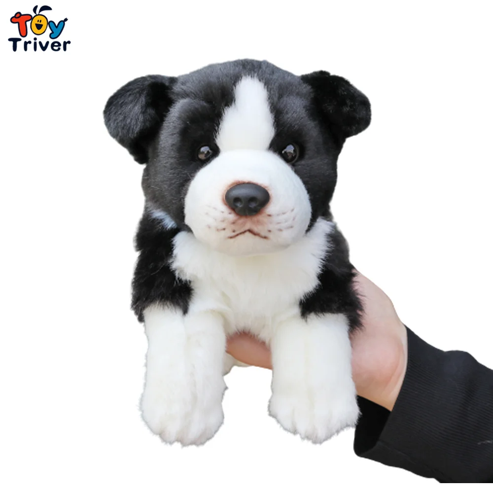 https://ae01.alicdn.com/kf/H2b804f444bd74aa29726b642132bcbf5i/30cm-Cute-Border-Collie-Dogs-Plush-Toys-Stuffed-Animals-Doll-Kids-Baby-Children-Boys-Girls-Birthday.jpg