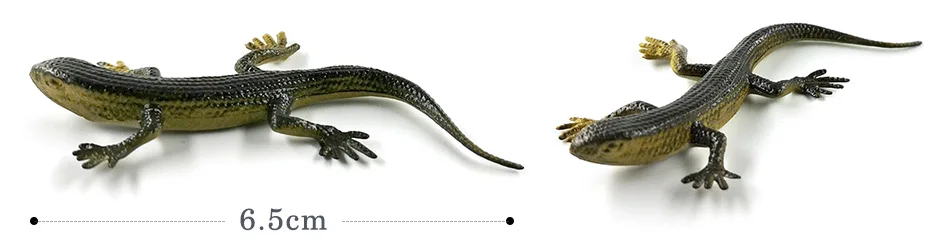 详情页-12款-彩色蜥蜴等_10