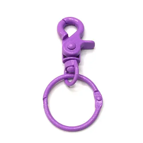 2Pcs-Colorful-Metal-Key-Openable-Unisex-Keyring-Keychain-Keyfob-Loose-leaf-DIY-Accessories-Dog-buckle.jpg_640x640 (9)