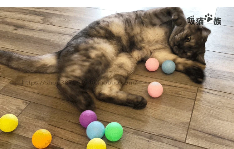 Всасывающая кошачья семья 35-Little Big Tease незрелая игрушка для кошки сферическая игрушка для укуса товары для домашних животных плюшевые микро-эластичные самоходные