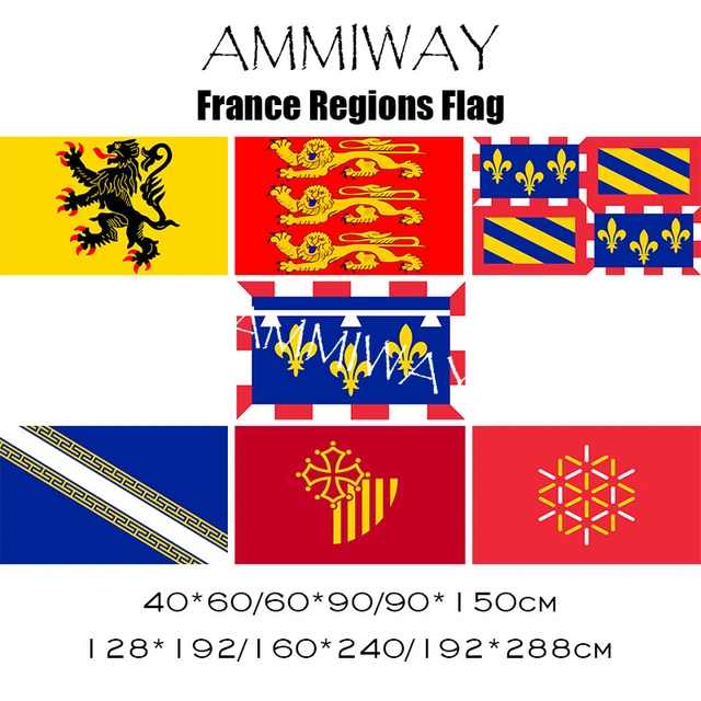 Ammiway France Generic Nord Pas De Calais Haute Normandie Bourgogne  Champagne Ardenne Languedoc Roussillon French Flags Banners - Flags -  AliExpress