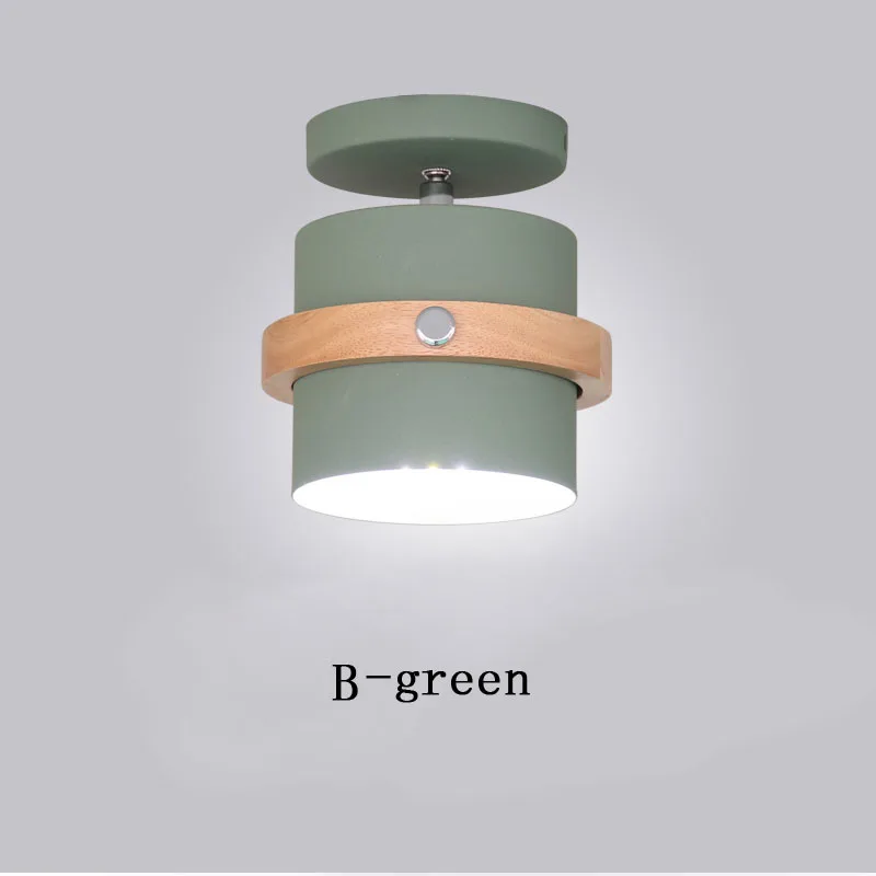 Потолочный светильник nordic украшения светильники для дома Декор для гостиной светильник s современный потолочный светильник, спальни, кухни, сплошные светильник световое приспособление - Цвет корпуса: B-green