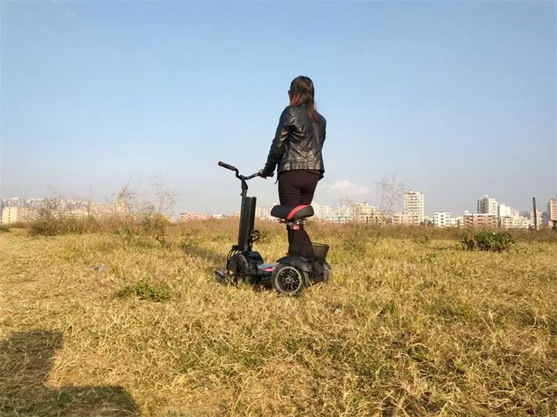 Daibot 3 Wheel Electric Scooter Self Balancing Scooters 10 Inch 500W 60V Portable Electric Unicycle Scooter For Adults           (17)