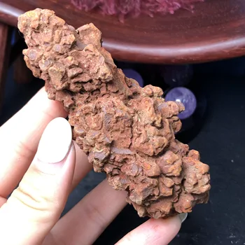 

natural Coprolite or Dinosaur POOPIES Fossil Poop Feces Poo Dung LARGE
