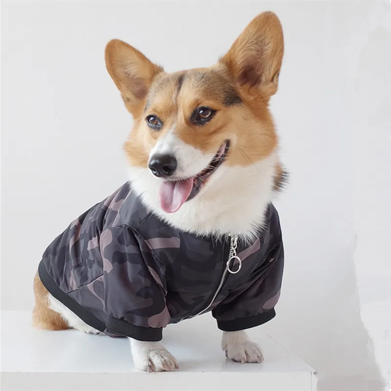 Камуфляжная куртка для собак зимняя французская одежда для бульдога Мопс одежда вельш корги костюмы пуделя шнауцера одежда для домашних животных Прямая поставка