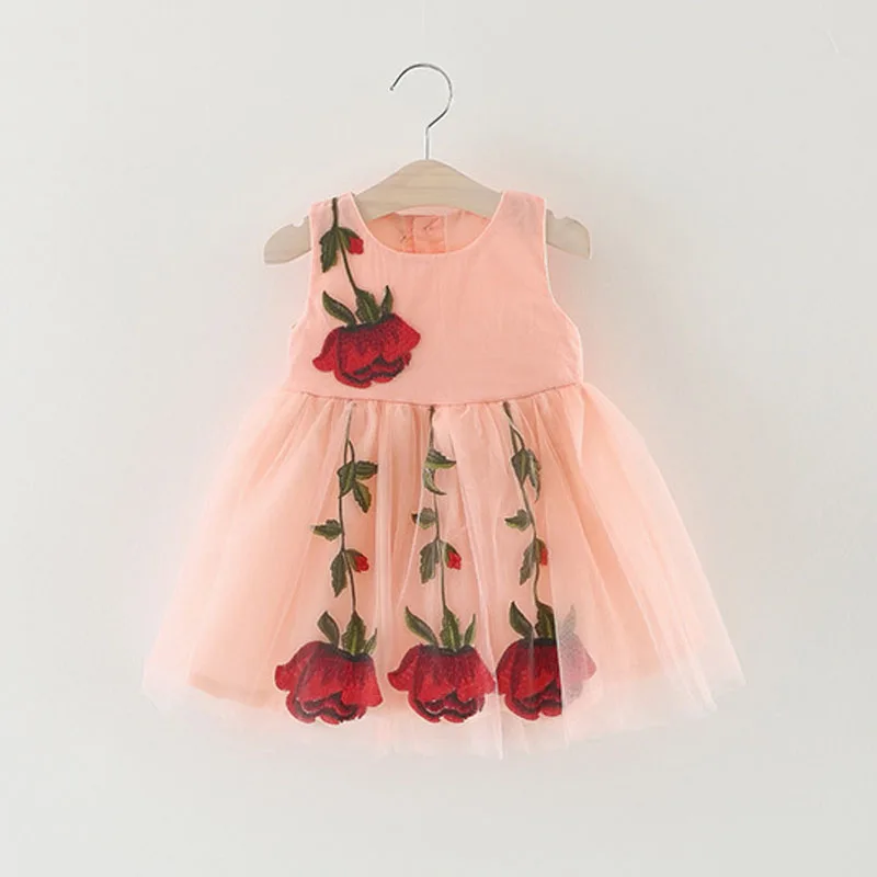 Sodawn/комплекты одежды для маленьких девочек милое платье для девочек осеннее платье для девочек утепленное бархатное пальто с длинными рукавами для девочек+ платье, детская одежда из 2 предметов - Цвет: BZ085-Pink