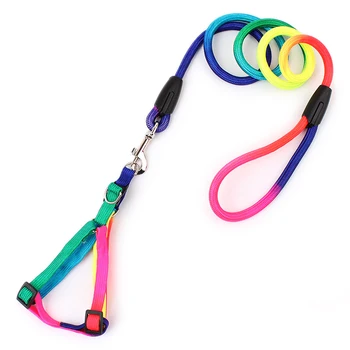 

Colorful Rainbow Pet Dog Collar Harness Leash Soft Walking Harness Lead Colorful and Durable Traction Rope Nylon
