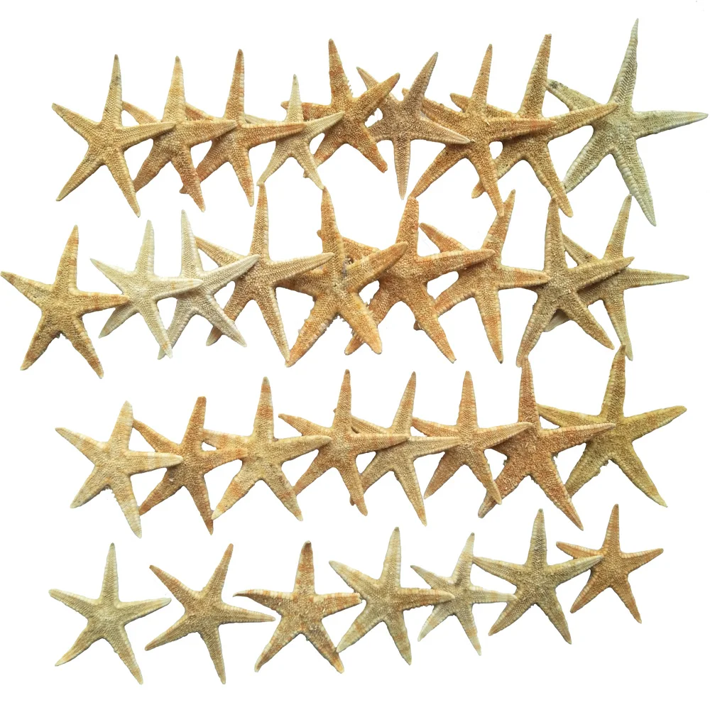 100PcsMINI натуральное море Морская звезда DIY домашнее свадебное украшение(1~ 3 см