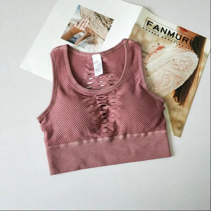 9195838383_559619995