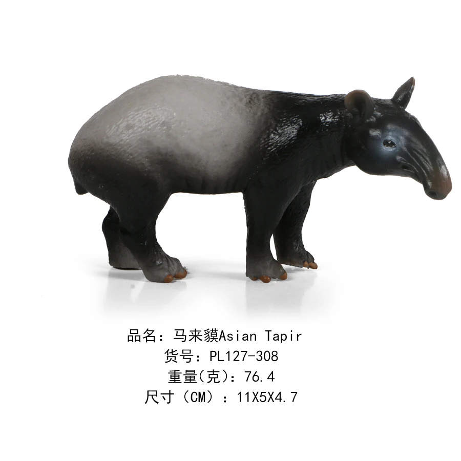 马来貘Asian Tapir-308