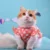 Летняя Одежда Для домашних Животных Dot Dog Dress For Dogs Юбка Летняя Принцесса Собака Свадебные Платья Йоркская Одежда Для Собак Юбки Pet Cat Dress