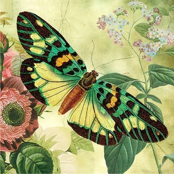 

Home Decoration Full Square 5D DIY Diamond Painting Butterfly Diamond Embroidery Cross Stitch Picture Of Rhinestones