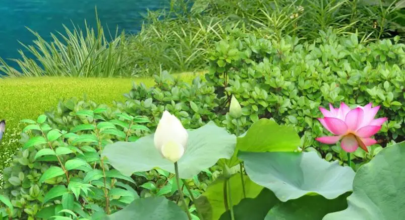 QQ截图20200903150352