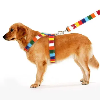 Rainbow Color Pet Dogs Collar Harness Set 120cm Puppy Leash Outdoor Walking Exercise Dogs Supplies PU Anti-Escape Cat Collars