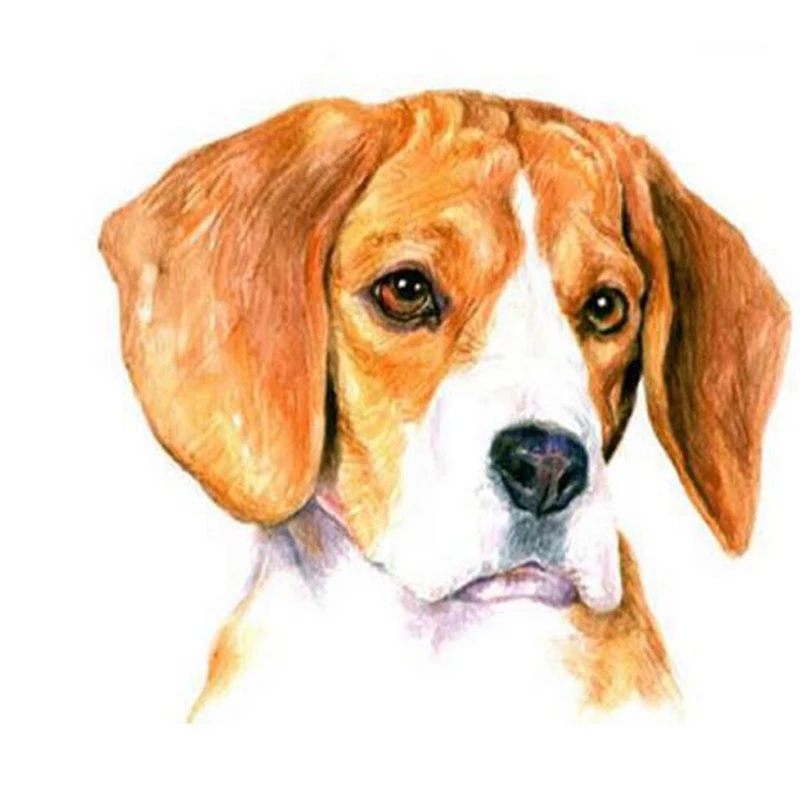 5D-DIY-Diamond-Embroidery-Beagle-dogs-Diamond-Painting-Accessories-Cross-Stitch-kit-Full-Drill-Rhinestone-Mosaic