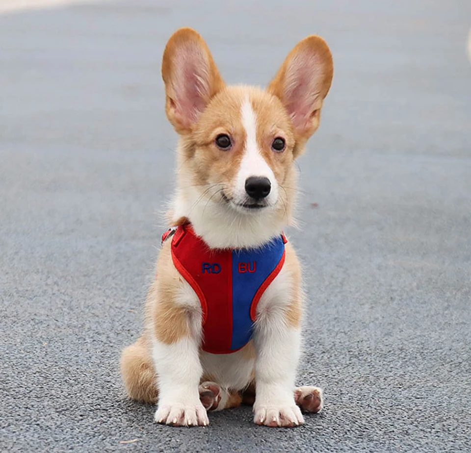 H3ed592875bcc4544a8e69ab0f6d4738au