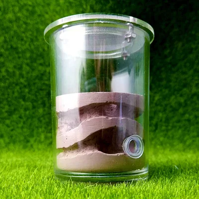 Water Cup Small Acrylic Gypsum Cup Ant Nest Pet Ant Castle Workshop Home - Цвет: Бургундия