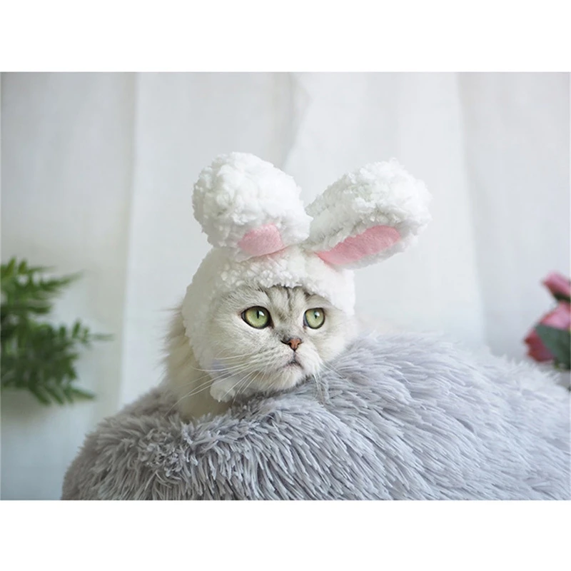 Домашний Кот, кролик, головной убор, собака, милые уши кролика, шляпа, фото, милое платье, косплей аксессуары, маленький белый кролик, шляпа
