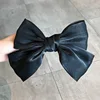 B2-hair clip