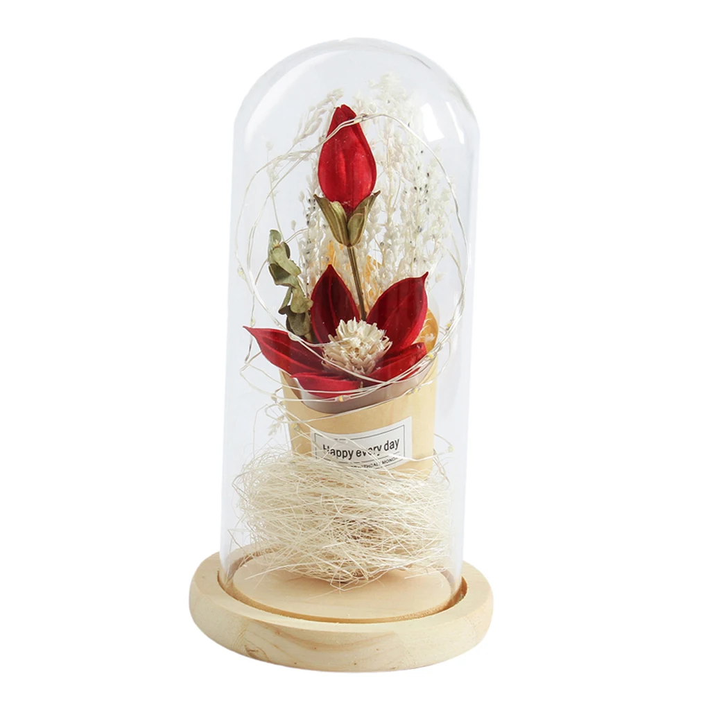 Creative Dried Flower Glass Dome Lamp LED Night Light Table Lamp Red Landscape