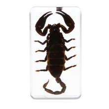 Настоящее насекомое Черный скорпион в прозрачном Пресс-Папье-B, 7,5x4x2 cm