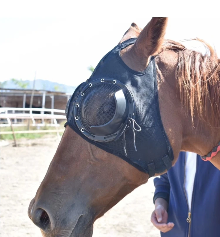 Forniture per imbracature di alta qualità copertura per imbracatura  maschera per gli occhi antivento occhiali da corsa di velocità con maschera  a rete copertura per testa di cavallo a prova di trachoma|Horse