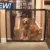 Складная Собака Забор Pet Safety Gate Magic Gate Pet Safety Enclosure Портативный Pet Isolation Net Safety Guard Портативные Собачьи заборы