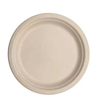 

Biodegradable 9 Inch Plates. Great for Lunch, Dinner Parties and Potlucks. Disposable, Compostable Wheat Straw Paper Alternative