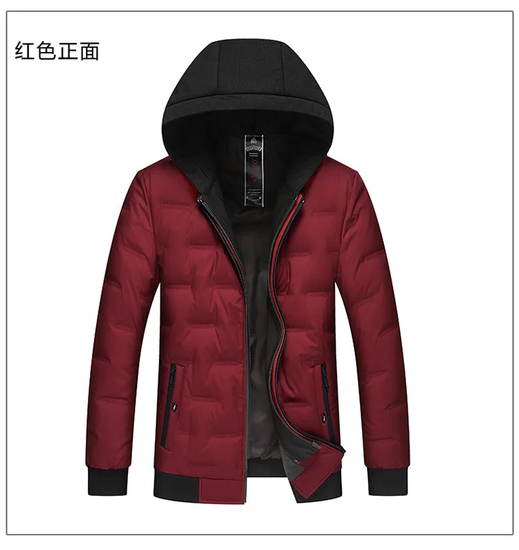 Down Jacket Men's New Style Short down Jacket Men Thick White Duck down Warm Hooded Coat Cold Protective Clothing Fashion