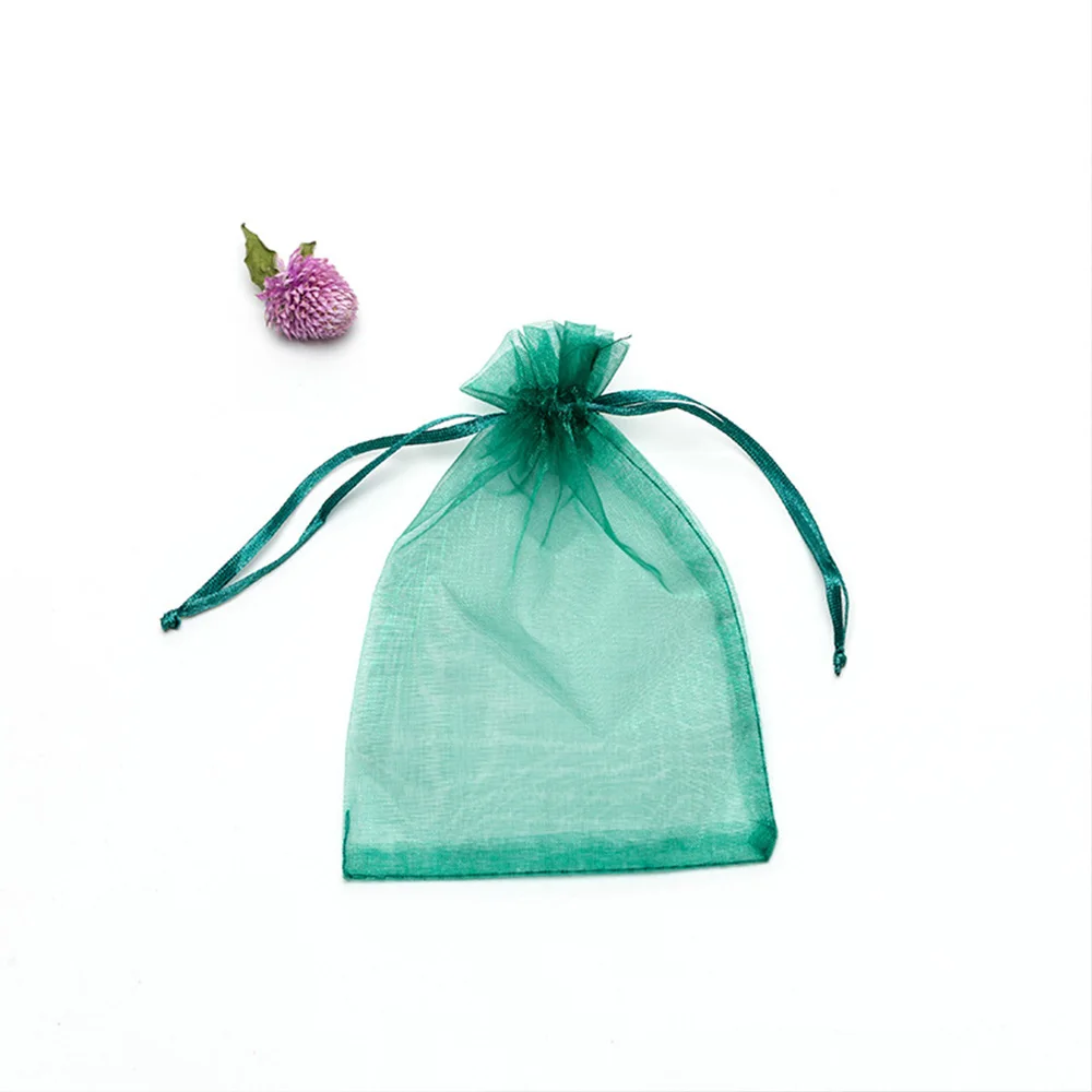 50PCS Garden Vegetables Fruit Grow Plants Protection Bags Anti-Bird Gardening Drawstring Netting Candy Grape Apple Mesh Pouch 