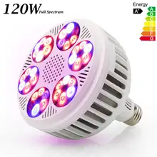 

XRYL CN RU DE E27 Plant Indoor Hydroponic Greenhouse Flower Seedling LED Grow Light Bulb Full Spectrum Growing Phytolamp