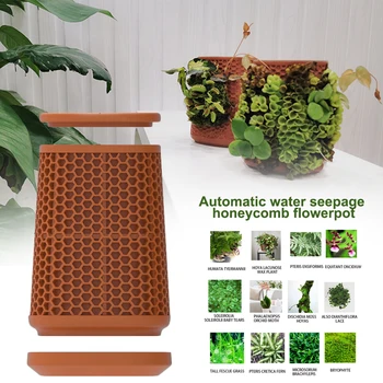 

Self Watering Planter Balcony Desktop Home Decor Flower Pot Succulents Indoor Outdoor Herbs Patio Honeycomb Shape Potted