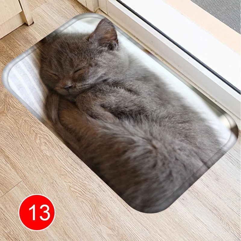 Новинка,, милый коврик для пола с рисунком кота, ковер для кухни, гостиной, ванной комнаты, нескользящая подложка, SMD66