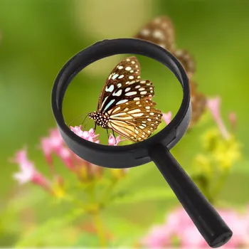 

Top Handheld Reading 5X Magnifier Hand Held Magnifying 25mm Mini Pocket Magnifying Glass Children Magnifying Glass