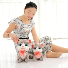 Best Offers Explosion cartoon plush toy animal cat doll pillow creative personality civet cat doll doll soft fabric home decoration pendant Best Offers Explosion cartoon plush toy animal cat doll pillow creative personality civet cat doll doll soft fabric home decoration pendant