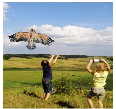 Eagle Kite 1.1m Flat Eagle Kite Big Fly Bird Kite For Children Flying Bird Kites Outdoor Toys Garden Toys