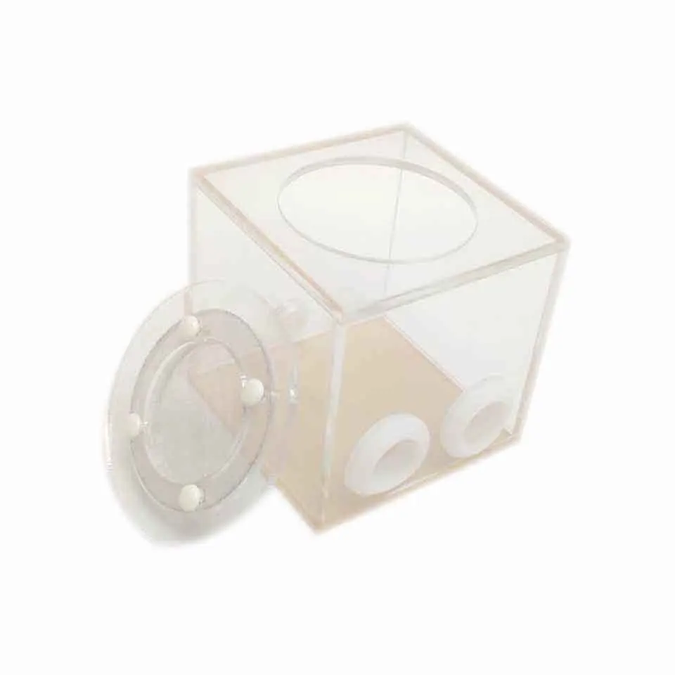 Terrario para reptiles de plástico transparente para granja de hormigas, suministros de insectos de doble tubo