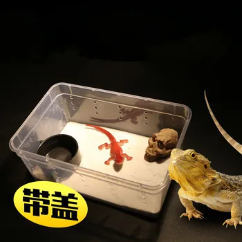 

1PCS Plastic Feeding Box Spider Lizard Lizard-keeping-keeping Raising Box for Breeding Insect Box Pet Products