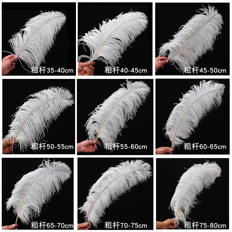 100 шт белые страусиные перья размер 15-75 см 6-30 дюймов для рукоделия карнавальные вечерние свадебные украшения на Хэллоуин ювелирные изделия