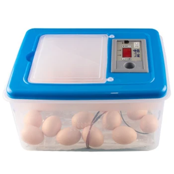 

US Plug,Plastic Water Bed Incubator Household Type Chicken Duck Goose Incubator Small Egg Box 12V / 220V
