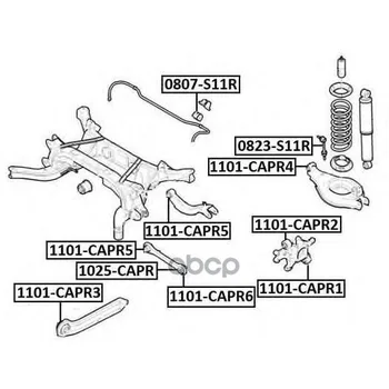 

Silentblock rear lower transverse lever Narny Opel Chevrolet Captiva 2006-opel Antara 2006 ASVA art. 1101-capr6