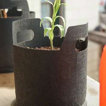 

Black Non-woven Planting Bag Tree Planting Bag Seedling Bag Family Garden Flowerpot