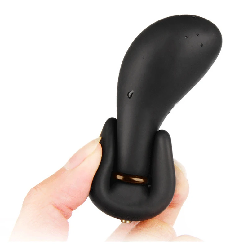 11775276240_1729638311