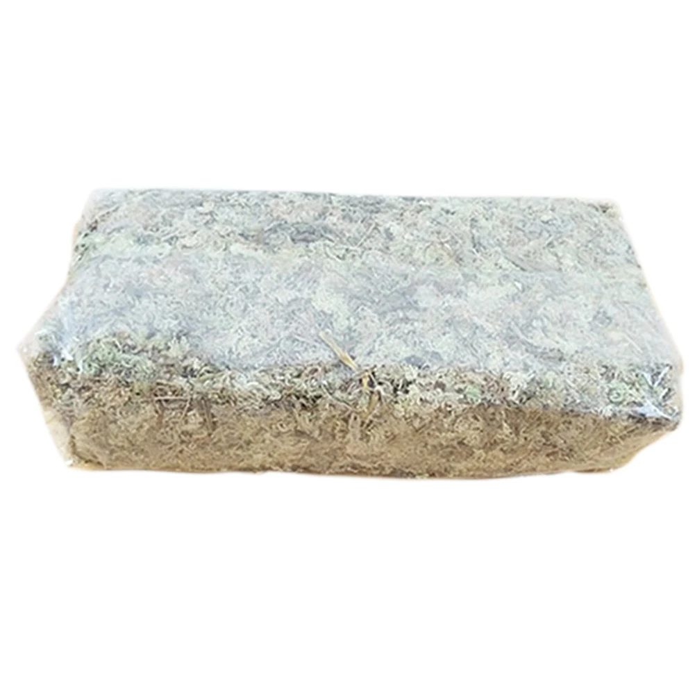 Water Moss Dry Phalaenopsis Orchids Soilless Cultivation Substrate Soil 6L Compressed Pack Grass | Дом и сад