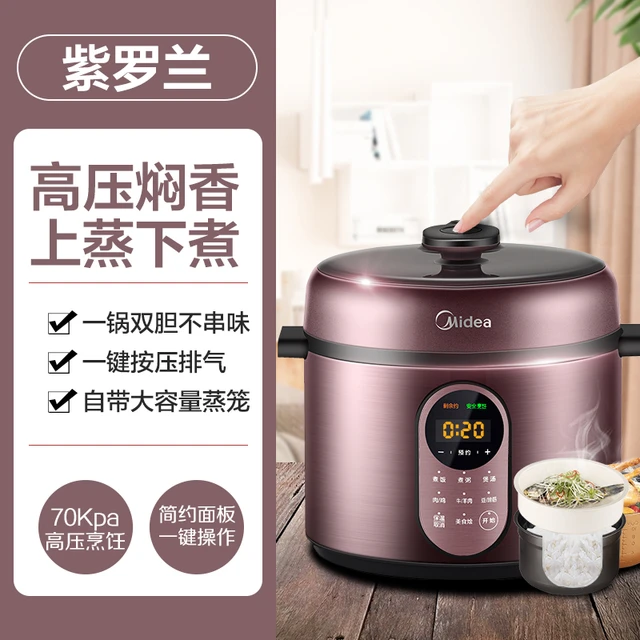 Household Electric Pressure Cooker Stainless Steel 2 Liner Pots Instant Pot Pressure  Cooker 5 Liters Large Capacity Rice Cooker - Electric Pressure Cookers -  AliExpress