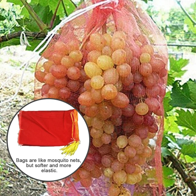 Grapes Bag 12X13.5 IN LDPE 1.5MIL Clear Flat 1000/Case | Imperial Dade