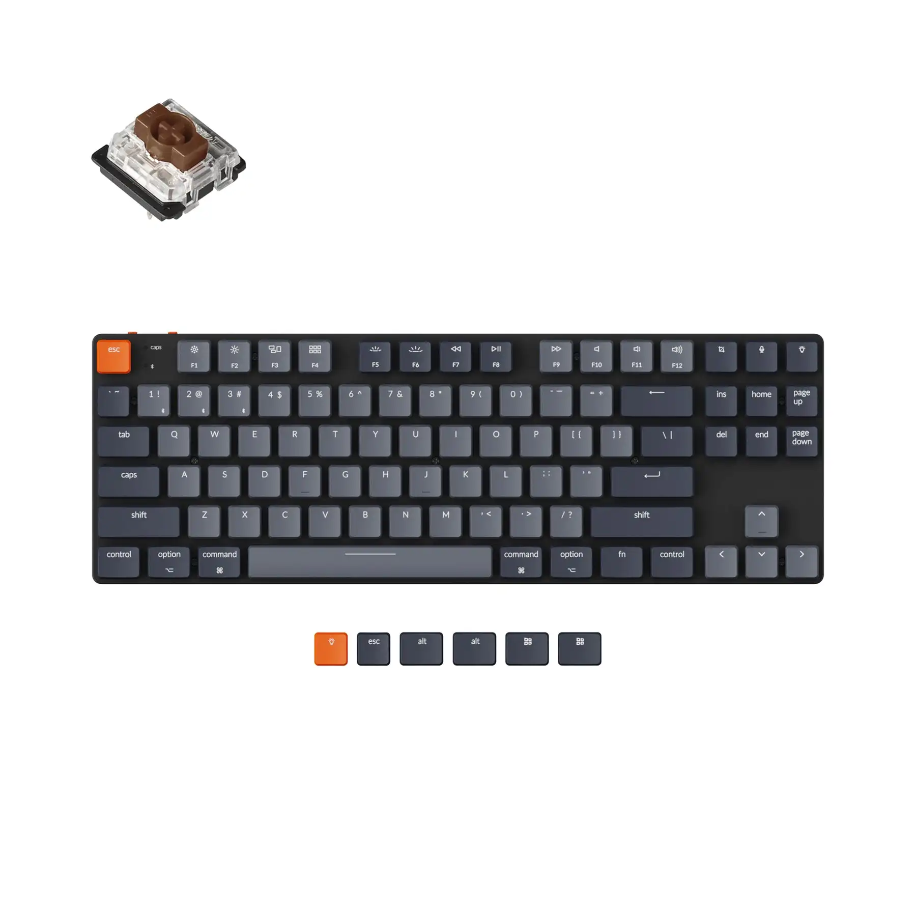 dsc-products