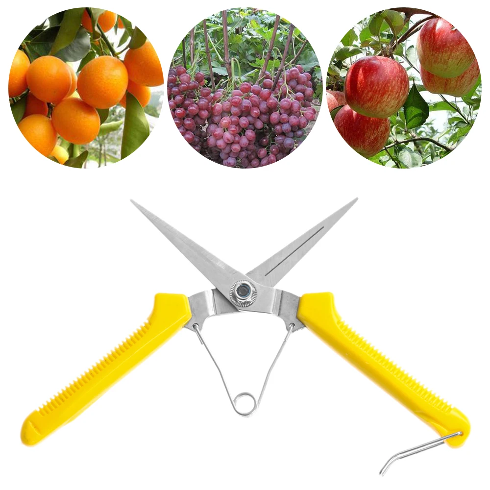 

1pc Stainless Steel Practical Pruning Shears Manual Garden Scissors Labor-Saving Fruit Branch Shears